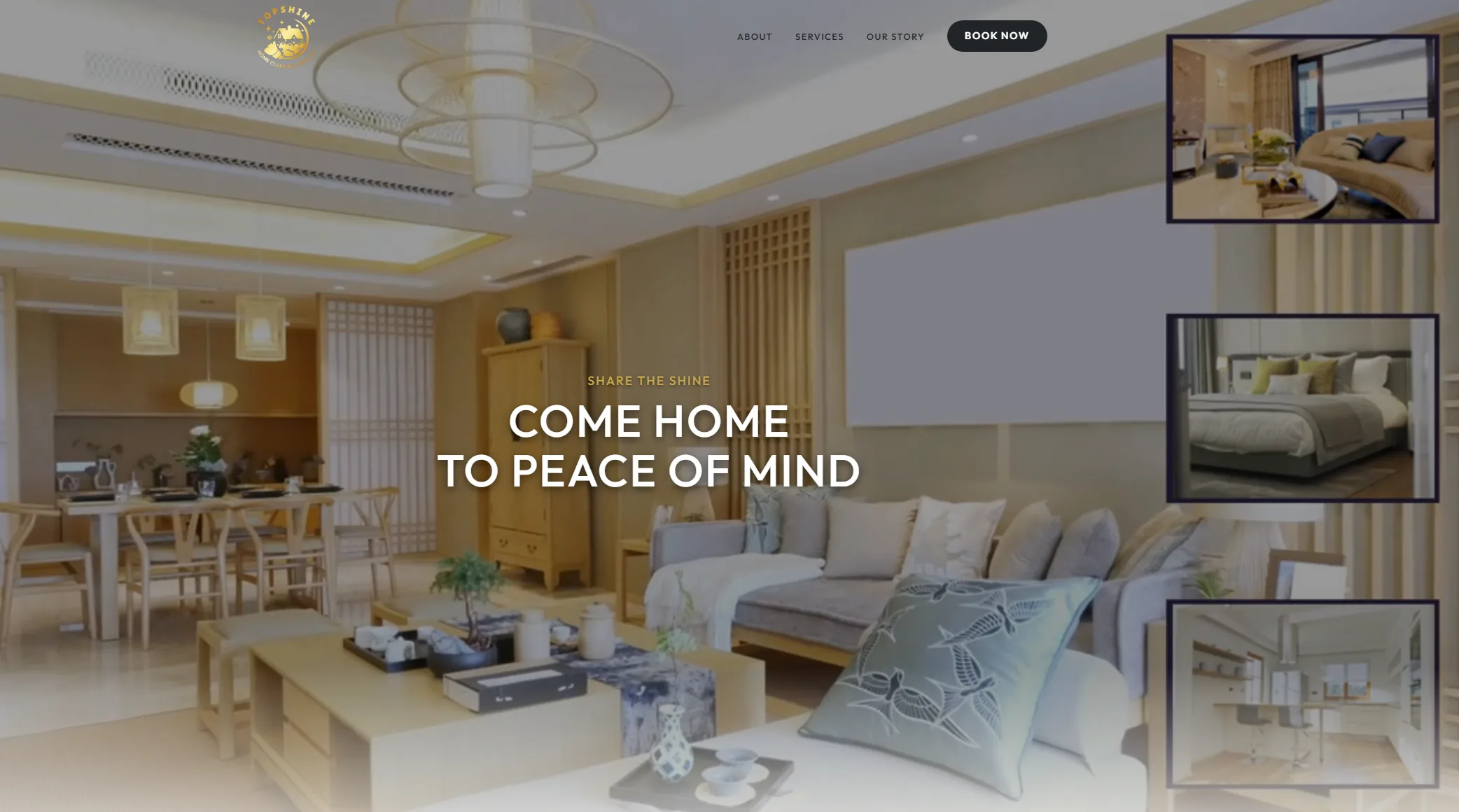 TopShine Home Cleaning - Case